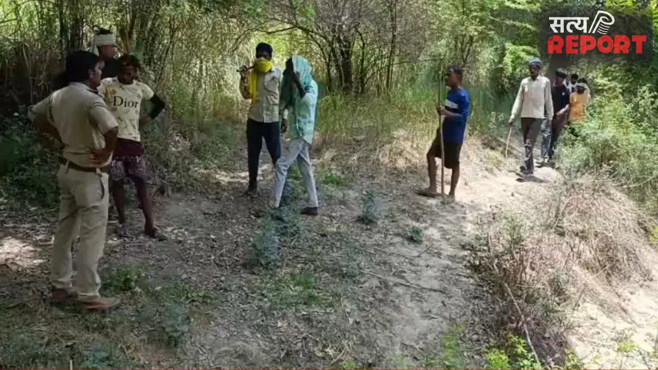 कानपुर में पेड़ पर चढ़े तेंदुए की फोटो निकली फर्जी; ग्रामीणों में थी दहशत, दोषियों के खिलाफ होगी कार्रवाई
