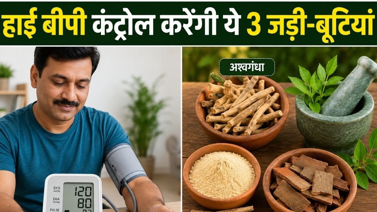 ये 3 आयुर्वेदिक जड़ी बूटियां Blood Pressure को कर सकती हैं कंट्रोल, आयुर्वेदिक एक्सपर्ट ने बताया उपयोगी, जानिए कैसे करें सेवन..