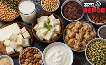 न पाउडर, न नॉनवेज, शुद्ध शाकाहारी डाइट से रोज 120 ग्राम प्रोटीन कैसे पाएं? एक्सपर्ट से जानिए न पाउडर, न नॉनवेज, शुद्ध शाकाहारी डाइट से रोज 120 ग्राम प्रोटीन कैसे पाएं? एक्सपर्ट से जानिए