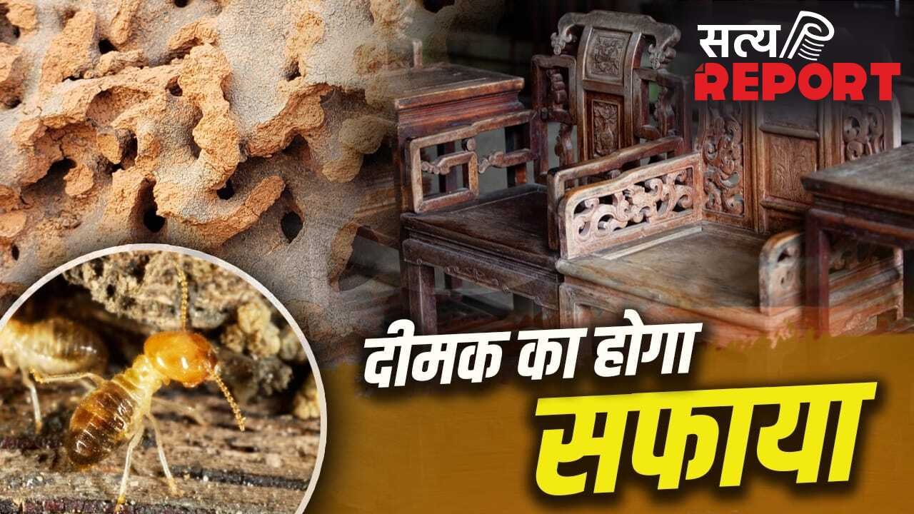 दीमक खोखला कर रही फर्नीचर-दरवाजे…ये घरेलू तरीके दिलाएंगे इससे छुटकारा