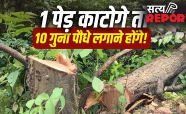‘1640 पेड़ों के बदले लगाने होंगे 16400 पौधे’… इंदौर में विकास के साथ हरियाली की भी शर्त, नगर निगम को मिला बड़ा टास्क