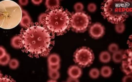 Chandipura Virus: क्या है चांदीपुरा वायरस? क्यों बढ़ी फिर चिंता और माता-पिता इन बातों का रखें ख्याल