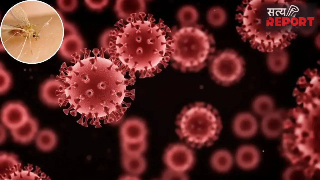 Chandipura Virus: क्या है चांदीपुरा वायरस? क्यों बढ़ी फिर चिंता और माता-पिता इन बातों का रखें ख्याल