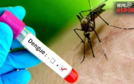 Dengue Platelets: डेंगू में क्यों कम हो जाते हैं प्लेटलेट्स? क्या QDENGA वैक्सीन कर सकती है बचाव