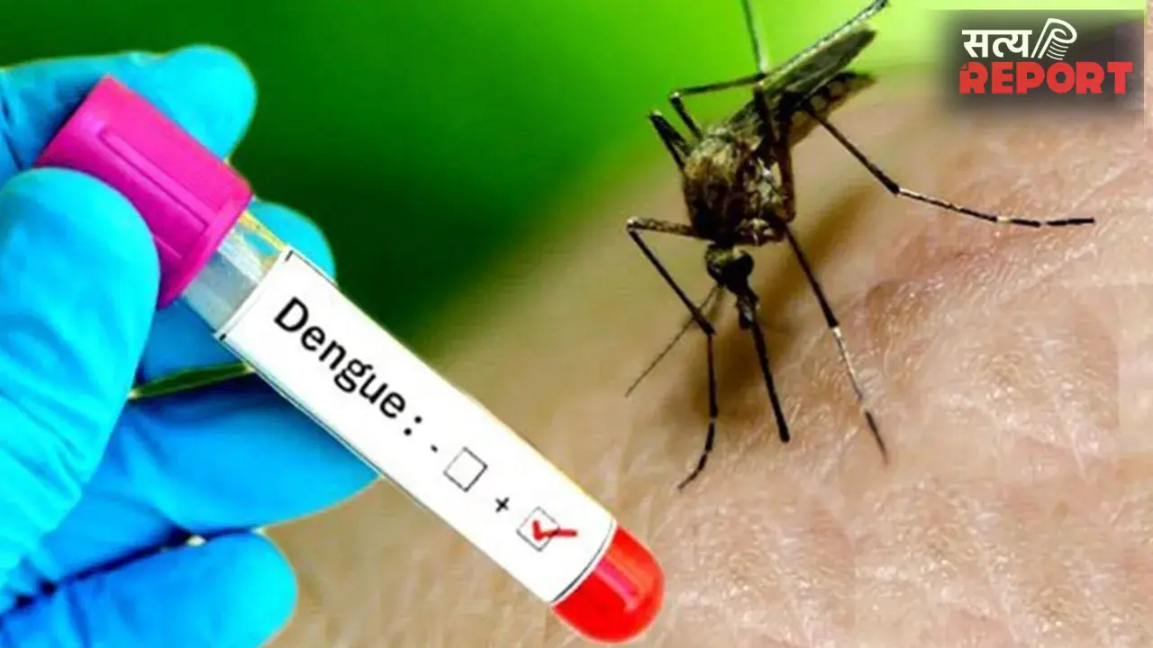 Dengue Platelets: डेंगू में क्यों कम हो जाते हैं प्लेटलेट्स? क्या QDENGA वैक्सीन कर सकती है बचाव