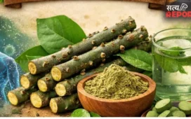 Giloy Water Benefits : रोज सुबह 1 गिलास गिलोय का पानी… शरीर में होने लगते हैं ये 5 चौंकाने वाले बदलाव