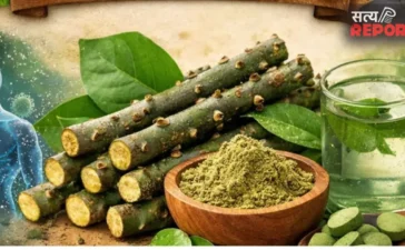 Giloy Water Benefits : रोज सुबह 1 गिलास गिलोय का पानी… शरीर में होने लगते हैं ये 5 चौंकाने वाले बदलाव Giloy Water Benefits : रोज सुबह 1 गिलास गिलोय का पानी… शरीर में होने लगते हैं ये 5 चौंकाने वाले बदलाव