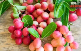 Karonda Benefits: Weight loss से लेकर हड्डियों की मजबूती तक, जानिए करौंदा के 5 बेहतरीन हेल्थ बेनेफिट्स
