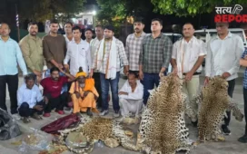 Agra: वन्यजीव तस्करी नेटवर्क का खुलासा; होटल में डील करते तस्कर गिरफ्तार, 10 तेंदुओं की खाल बरामद