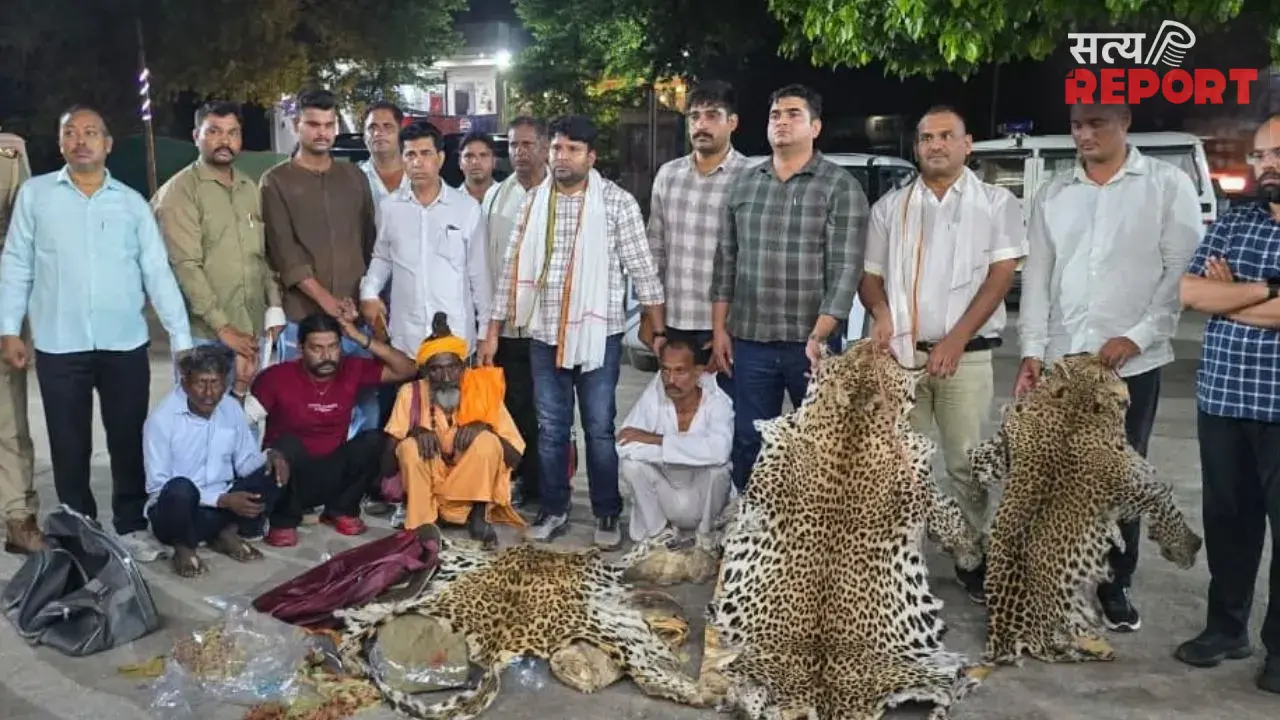 Agra: वन्यजीव तस्करी नेटवर्क का खुलासा; होटल में डील करते तस्कर गिरफ्तार, 10 तेंदुओं की खाल बरामद