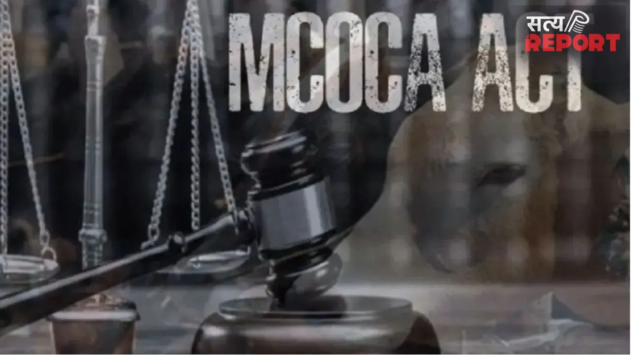 Bhandara Crime: भंडारा में सम्राट गैंग पर MCOCA, गोवंश तस्करी के खिलाफ बड़ी कार्रवाई