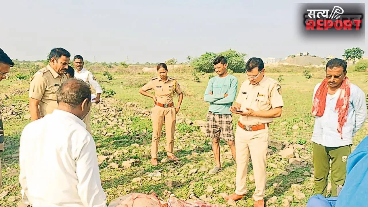 हैवानियत की हद पार! नागपुर के उत्तर उमरेड वन क्षेत्र में गोली मारकर नीलगाय का शिकार, एक आरोपी गिरफ्तार