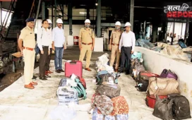 नागपुर रेलवे पुलिस ने नष्ट किया 308 किलो जब्त गांजा; कोर्ट की अनुमति के बाद बूटीबोरी MIDC में कार्रवाई