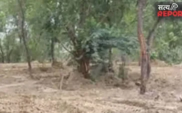 चकबंदी में गड़बड़ी का खुलासा: प्रयागराज में 37 बीघा वन भूमि का फर्जी नामांतरण निरस्त; फिर हुई वन विभाग के नाम चकबंदी में गड़बड़ी का खुलासा: प्रयागराज में 37 बीघा वन भूमि का फर्जी नामांतरण निरस्त; फिर हुई वन विभाग के नाम