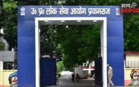 GIC Lecturer Result 2025: अर्थशास्त्र, नागरिकशास्त्र और भौतिक विज्ञान का परिणाम घोषित, देखें कितने हुए चयनित