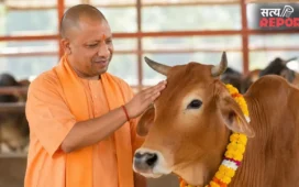 UP Gochar Bhumi Mission: UP में 39,721 हजार हेक्टेयर गोचर भूमि अतिक्रमण मुक्त, हरित चारा में हरदोई बना नंबर-1