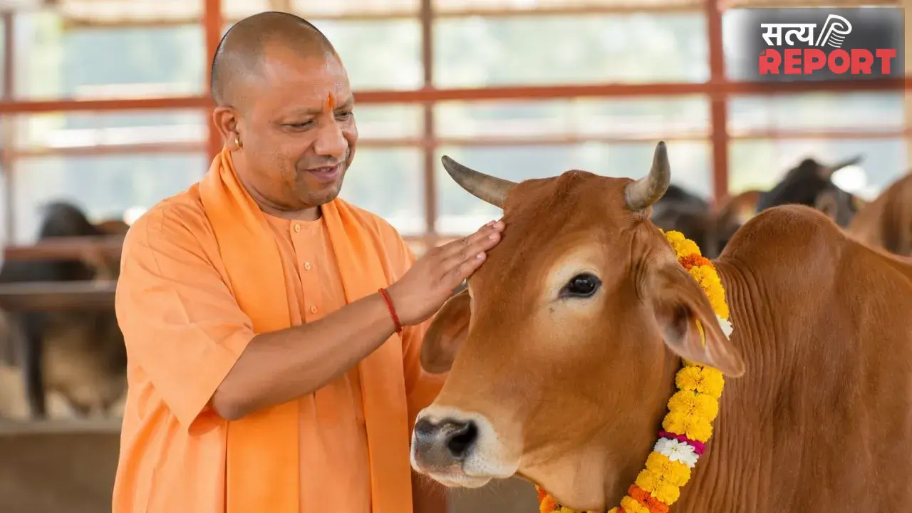 UP Gochar Bhumi Mission: UP में 39,721 हजार हेक्टेयर गोचर भूमि अतिक्रमण मुक्त, हरित चारा में हरदोई बना नंबर-1