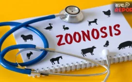 World Zoonoses Day: जानवरों से प्यार करें, लेकिन इन बीमारियों से रहें सावधान! जानें जूनोटिक रोगों के बारे में