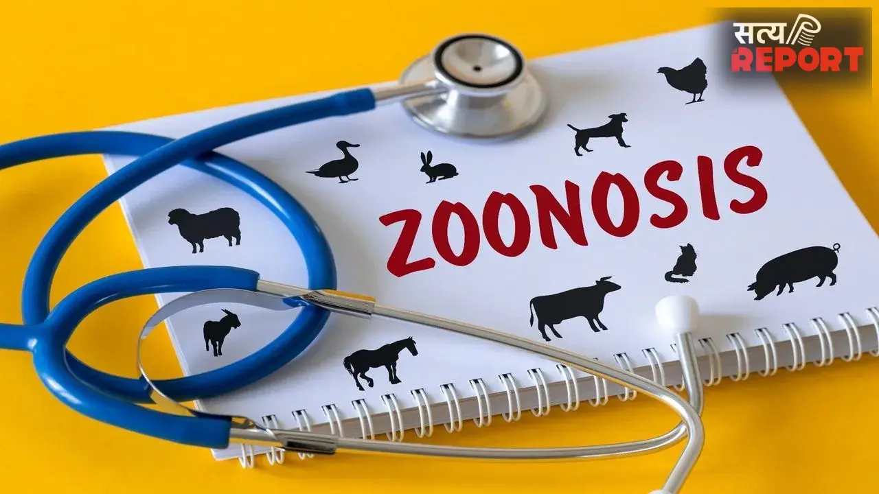 World Zoonoses Day: जानवरों से प्यार करें, लेकिन इन बीमारियों से रहें सावधान! जानें जूनोटिक रोगों के बारे में