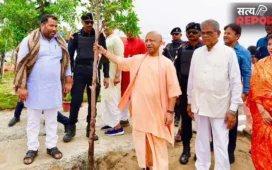 योगी सरकार ने रचा इतिहास! 12 घंटे में लगा दिए रिकॉर्ड तोड़ 35 करोड़ पौधे, खुद मुख्यमंत्री ने भी लगाया पेड़