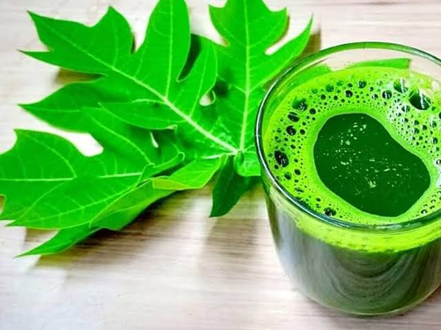 पपीते के पत्तों से प्लेटलेट्स बढ़ने का दावा विवादों में, टाटा मेमोरियल सेंटर की स्टडी की हो रही समीक्षा.. पपीते के पत्तों से प्लेटलेट्स बढ़ने का दावा विवादों में, टाटा मेमोरियल सेंटर की स्टडी की हो रही समीक्षा..