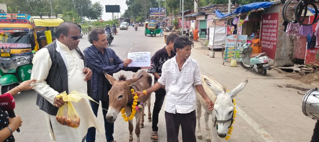 बारिश के लिए गधों को बनाया दूल्हा, खिलाए 2 किलो गुलाब जामुन! भोपाल में अनोखे टोटके ने खींचा लोगों का ध्यान.. बारिश के लिए गधों को बनाया दूल्हा, खिलाए 2 किलो गुलाब जामुन! भोपाल में अनोखे टोटके ने खींचा लोगों का ध्यान..