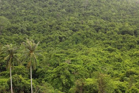 चित्रकूट में युवती से सामूहिक दुष्कर्म का आरोप, खुद को वनकर्मी बताने वाले तीन संदिग्धों की तलाश..