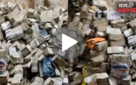 160 करोड़ का म्यूचुअल फंड और करोड़ों का अंबार… धनबाद में ED के हाथ लगा कोयला माफिया, 31 जगहों पर रेड वायरल