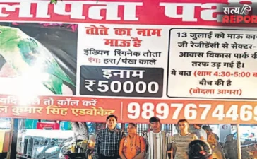 Agra: ‘माऊ’ को ढूंढ़ने वाले को मिलेगा 50 हजार रुपये का इनाम, आगरा में चर्चा का विषय बना लापता तोता