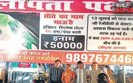 Agra: ‘माऊ’ को ढूंढ़ने वाले को मिलेगा 50 हजार रुपए का इनाम, आगरा में चर्चा का विषय बना लापता तोता