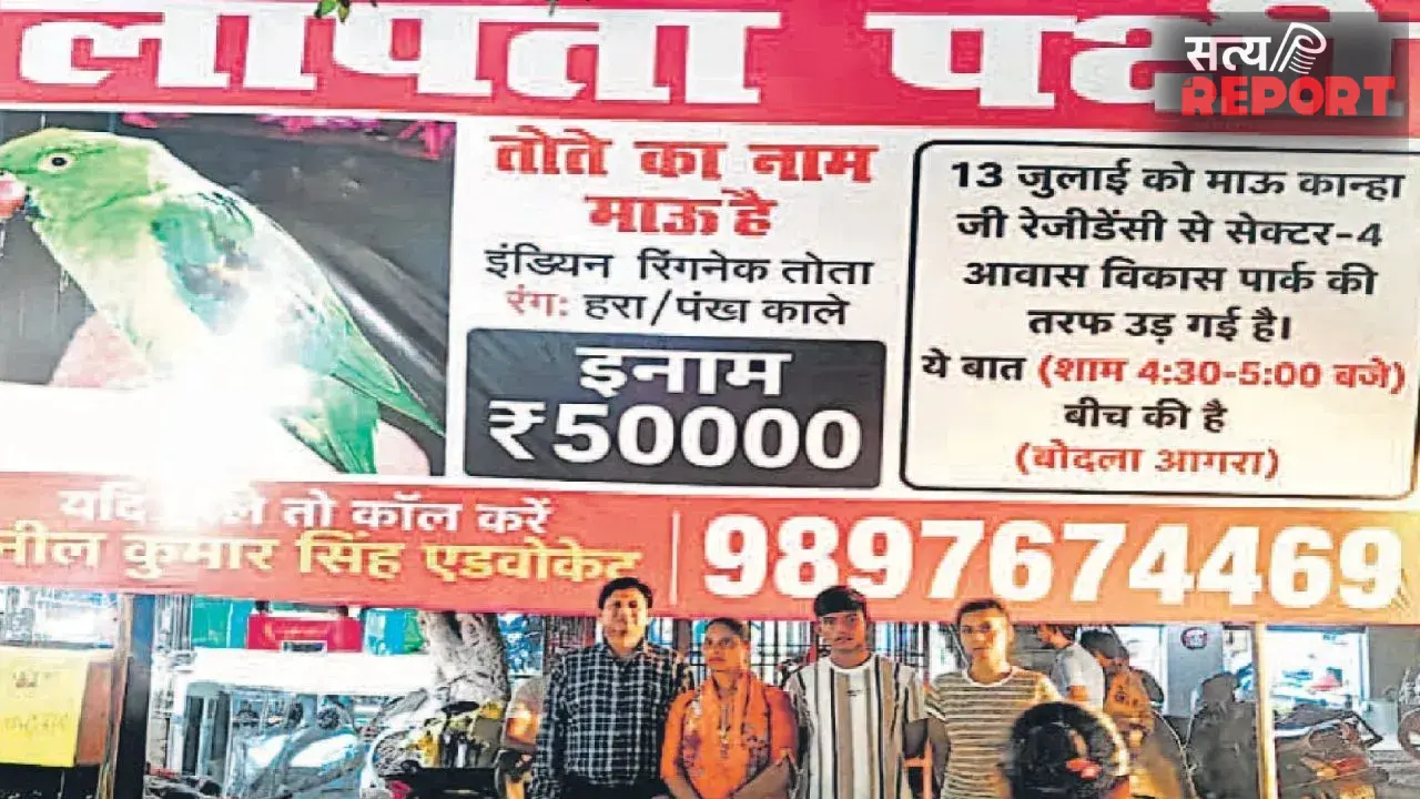 Agra: ‘माऊ’ को ढूंढ़ने वाले को मिलेगा 50 हजार रुपए का इनाम, आगरा में चर्चा का विषय बना लापता तोता