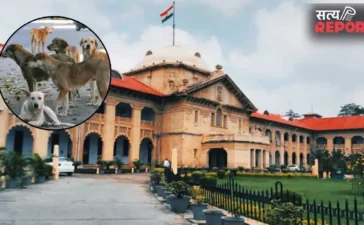 आवारा कुत्तों और छुट्टा मवेशियों के आतंक पर इलाहाबाद हाईकोर्ट सख्त, योगी सरकार से 14 दिन में अल्टीमेटम की मांग आवारा कुत्तों और छुट्टा मवेशियों के आतंक पर इलाहाबाद हाईकोर्ट सख्त, योगी सरकार से 14 दिन में अल्टीमेटम की मांग