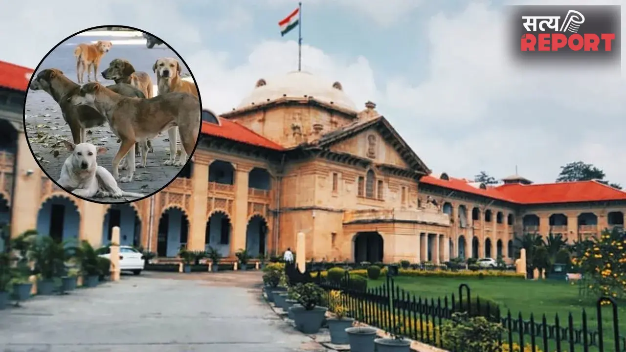 आवारा कुत्तों और छुट्टा मवेशियों के आतंक पर इलाहाबाद हाईकोर्ट सख्त, योगी सरकार से 14 दिन में अल्टीमेटम की मांग