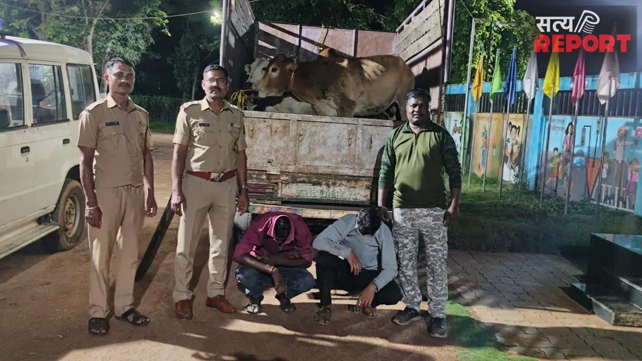 Bhandara News: लाखांदुर में कत्लखाने ले जाए जा रहे 9 मवेशी बचाए, 6.35 लाख का माल जब्त
