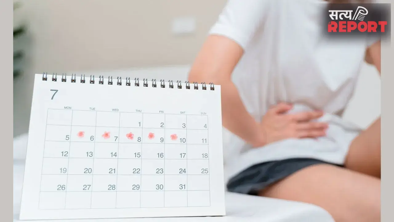 PCOD, PCOS, PMOS: एक जैसे लगते हैं ये तीनों नाम, लेकिन फर्क जानना हर महिला के लिए है जरूरी, जानें सबकुछ