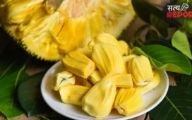 Ripe Jackfruit: पका कटहल कहीं बिगाड़ न दे सेहत, इन 5 लोगों को खाने से पहले जरूर जान लेनी चाहिए ये बात
