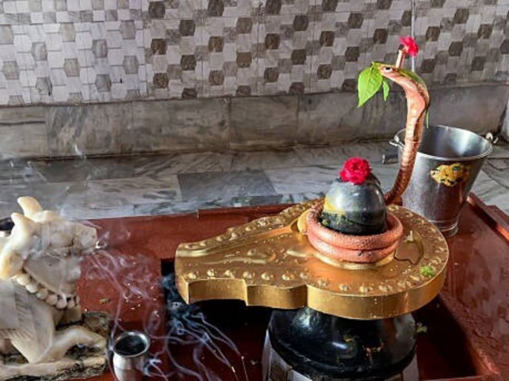 16 या 17 अगस्त कब है नागपंचमी? सालों बाद बन रहा अत्यंत दुर्लभ संयोग, जानें पूजन का उत्तम मुहूर्त.. 16 या 17 अगस्त कब है नागपंचमी? सालों बाद बन रहा अत्यंत दुर्लभ संयोग, जानें पूजन का उत्तम मुहूर्त..