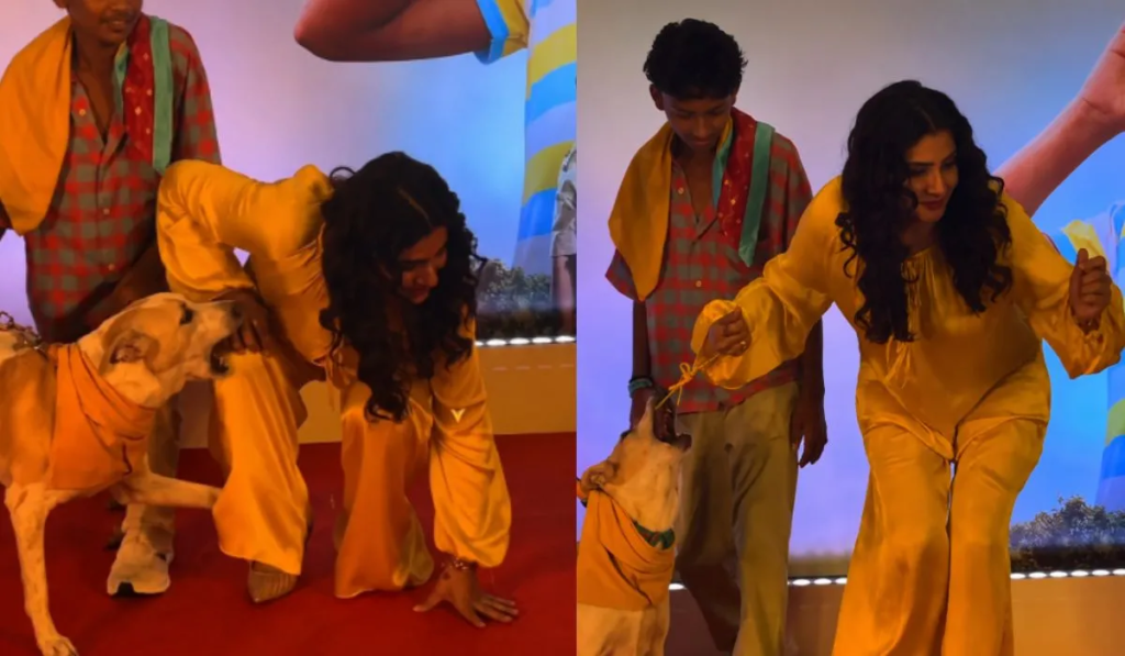 ‘ओह माय डॉग’ की स्क्रीनिंग में रवीना टंडन के साथ हुआ अप्रत्याशित वाकया, डॉग के उग्र होने पर भी नहीं खोया धैर्य.. ‘ओह माय डॉग’ की स्क्रीनिंग में रवीना टंडन के साथ हुआ अप्रत्याशित वाकया, डॉग के उग्र होने पर भी नहीं खोया धैर्य..