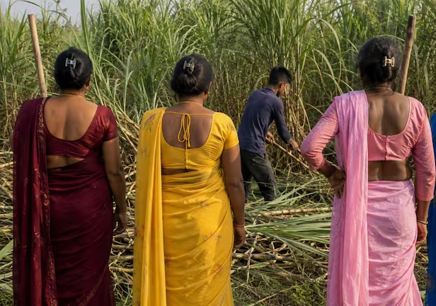 खेत में काम कर रहे लड़के के प्राइवेट पार्ट पर चला दिया ब्लेड! किन्नर अपने ग्रुप में करना चाहते थे शामिल? 2 हुए गिरफ्तार.. खेत में काम कर रहे लड़के के प्राइवेट पार्ट पर चला दिया ब्लेड! किन्नर अपने ग्रुप में करना चाहते थे शामिल? 2 हुए गिरफ्तार..