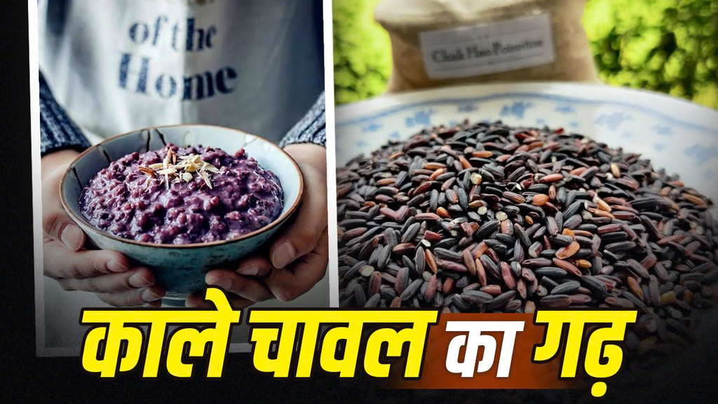 भारत के इस राज्य में उगता है दुनिया में मशहूर काला चावल, सऊदी अरब से मलेशिया तक है मांग भारत के इस राज्य में उगता है दुनिया में मशहूर काला चावल, सऊदी अरब से मलेशिया तक है मांग