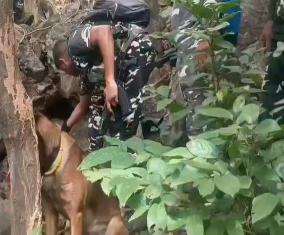 मनियारा जंगल में छिपाकर रखे गए हथियारों का बड़ा जखीरा बरामद, 2 राइफल और 2 कट्टे समेत 22 जिंदा कारतूस मिले मनियारा जंगल में छिपाकर रखे गए हथियारों का बड़ा जखीरा बरामद, 2 राइफल और 2 कट्टे समेत 22 जिंदा कारतूस मिले