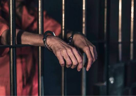 दुर्ग पुलिस का बड़ा एक्शन, महाराष्ट्र के ठाणे से ऑनलाइन सट्टा नेटवर्क का खुलासा; 31 मोबाइल और 4 लैपटॉप समेत 10 आरोपी गिरफ्तार. दुर्ग पुलिस का बड़ा एक्शन, महाराष्ट्र के ठाणे से ऑनलाइन सट्टा नेटवर्क का खुलासा; 31 मोबाइल और 4 लैपटॉप समेत 10 आरोपी गिरफ्तार.