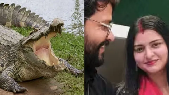 शादी के दबाव से परेशान प्रेमी पर नर्सिंग ऑफिसर की हत्या का आरोप, खरीदारी के बहाने ले गया यूपी; मगरमच्छों वाले इलाके में फेंका शव शादी के दबाव से परेशान प्रेमी पर नर्सिंग ऑफिसर की हत्या का आरोप, खरीदारी के बहाने ले गया यूपी; मगरमच्छों वाले इलाके में फेंका शव