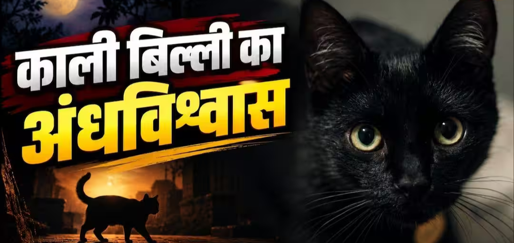 काली बिल्ली रास्ता काट जाए तो क्या सच में होता है ‘अपशगुन? जानिए सदियों पुरानी मान्यता के पीछे की सच्चाई काली बिल्ली रास्ता काट जाए तो क्या सच में होता है ‘अपशगुन? जानिए सदियों पुरानी मान्यता के पीछे की सच्चाई