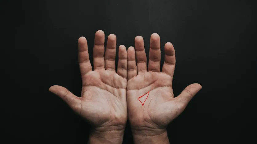 हथेली में ‘मनी ट्रायंगल’ होने का क्या है मतलब? हस्तरेखा शास्त्र में इन 5 संकेतों को माना जाता है धन योग से जुड़ा हथेली में ‘मनी ट्रायंगल’ होने का क्या है मतलब? हस्तरेखा शास्त्र में इन 5 संकेतों को माना जाता है धन योग से जुड़ा