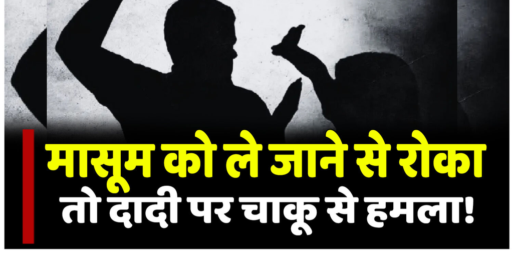 बिलासपुर में 3 साल की बच्ची को ले जाने से रोका तो दादी पर चाकू से किया हमला, इलाज के दौरान बुजुर्ग महिला की मौत बिलासपुर में 3 साल की बच्ची को ले जाने से रोका तो दादी पर चाकू से किया हमला, इलाज के दौरान बुजुर्ग महिला की मौत