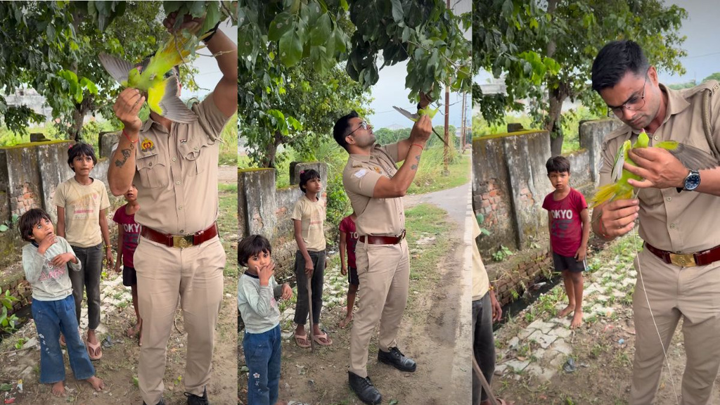 पेड़ पर फंसा था तोता, पैर में बुरी तरह उलझा था मांझा… पुलिसकर्मी ने जो किया, लोगों ने किया सलाम पेड़ पर फंसा था तोता, पैर में बुरी तरह उलझा था मांझा… पुलिसकर्मी ने जो किया, लोगों ने किया सलाम