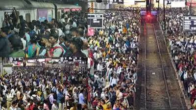 लोकल ट्रेन हादसे में 3 लोगों की मौत, दो अन्य घायल; घंटों तक ठप रही सेवा के बीच कैसे हुआ हादसा? लोकल ट्रेन हादसे में 3 लोगों की मौत, दो अन्य घायल; घंटों तक ठप रही सेवा के बीच कैसे हुआ हादसा?